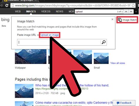 image search with picture|bing image search by.